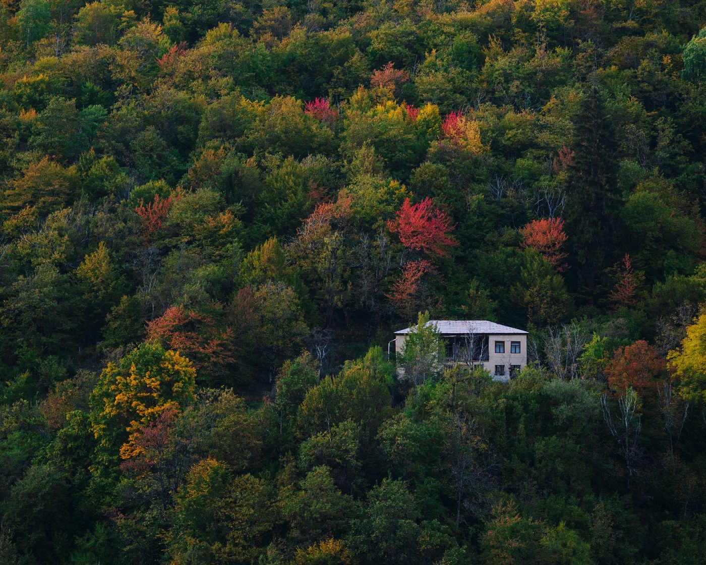 A home tucked into a forested hillside in the Pocono Mountains in early fall